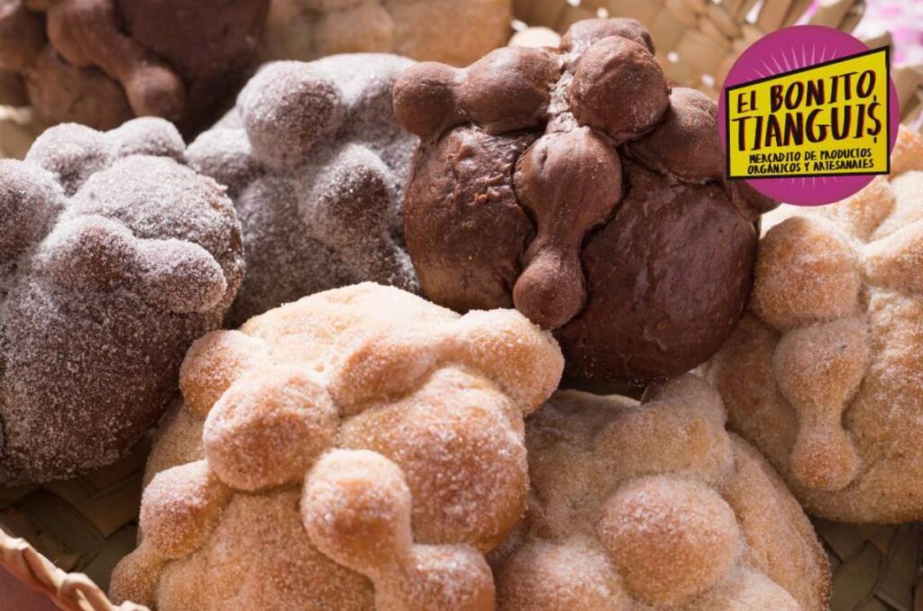 Texto Galeria imagen subida dentro de la nota 3