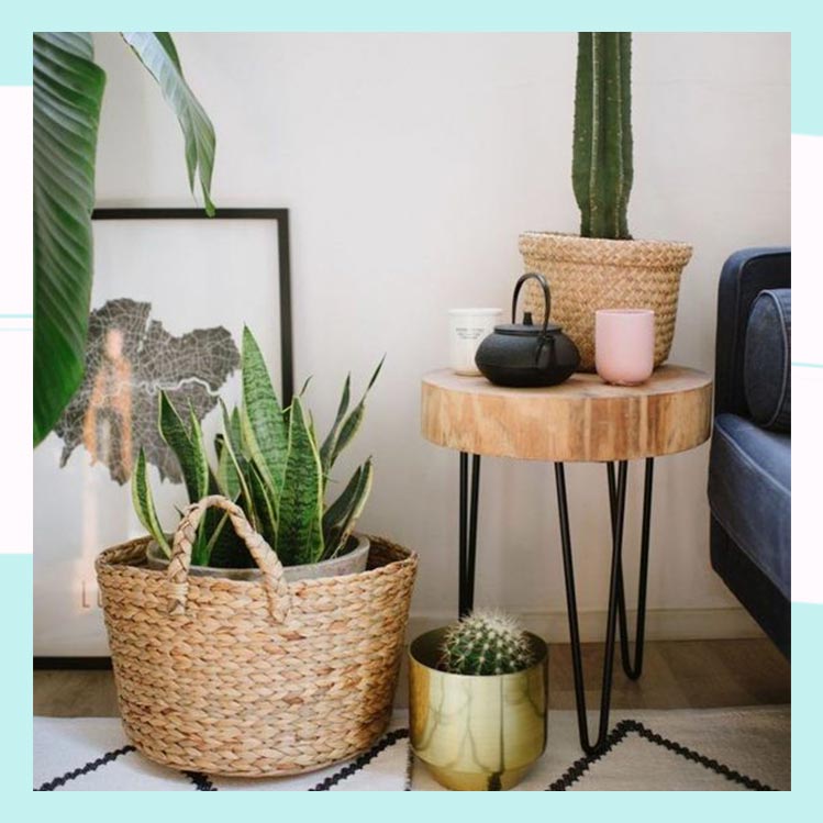 Los 7 mejores buffets de la CDMX