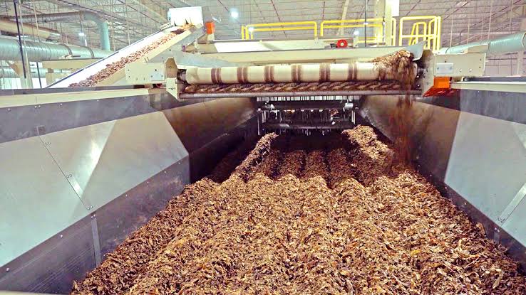 Sijara apuesta por la innovación en la investigación y diseño de productos