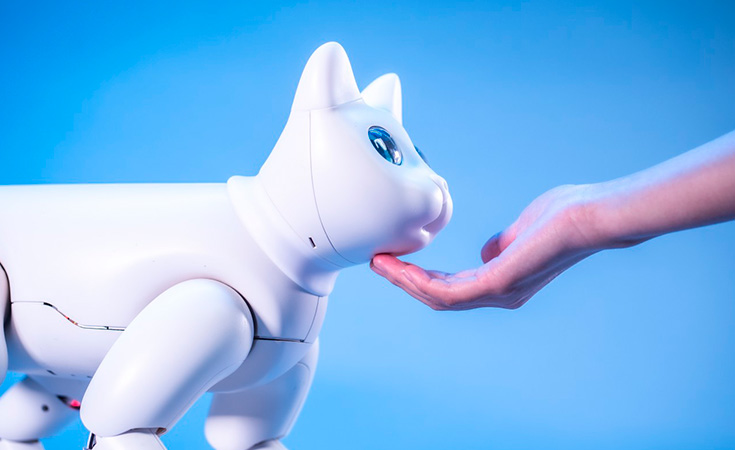 ¿Son estas las mascotas del futuro?